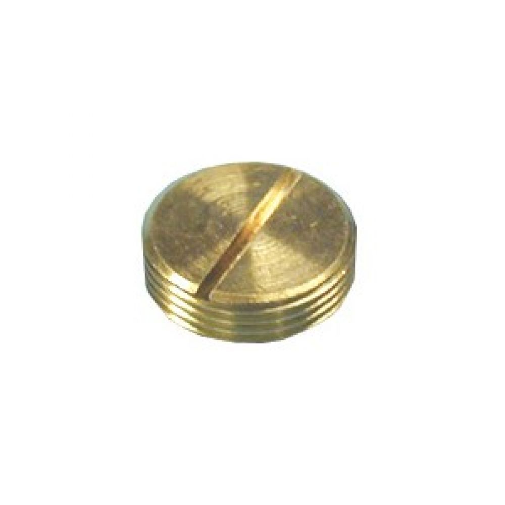 Greenbrook 20mm Brass Slotted Plug